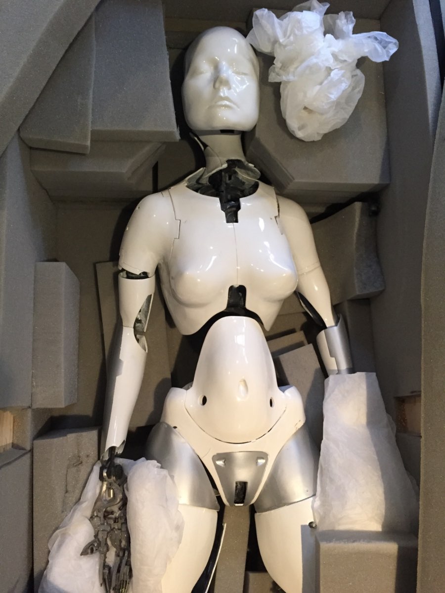 The white robots from Chris Cunningham's 'All Is Full of Love' video.